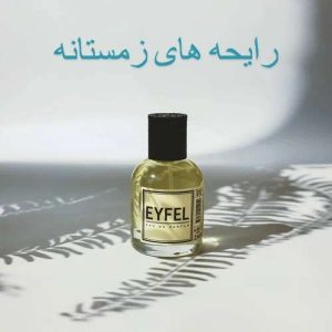 Eyfel_winter