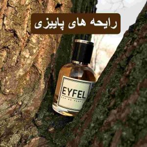Eyfel_autumn